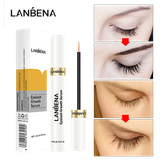 تقویت کننده مژه